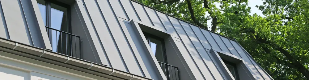 Démoussage de toiture à Ceton 